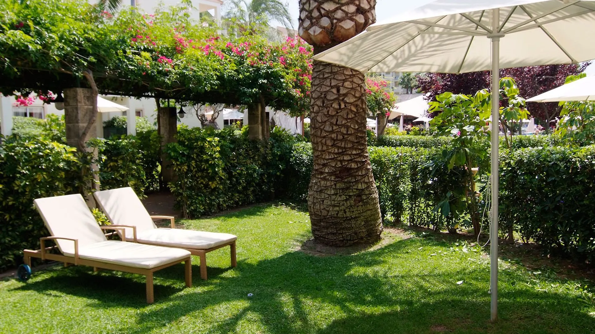 الشقق الفندقية بورت ذالكوذيافي  Zafiro Tropic 4*,  إسبانيا